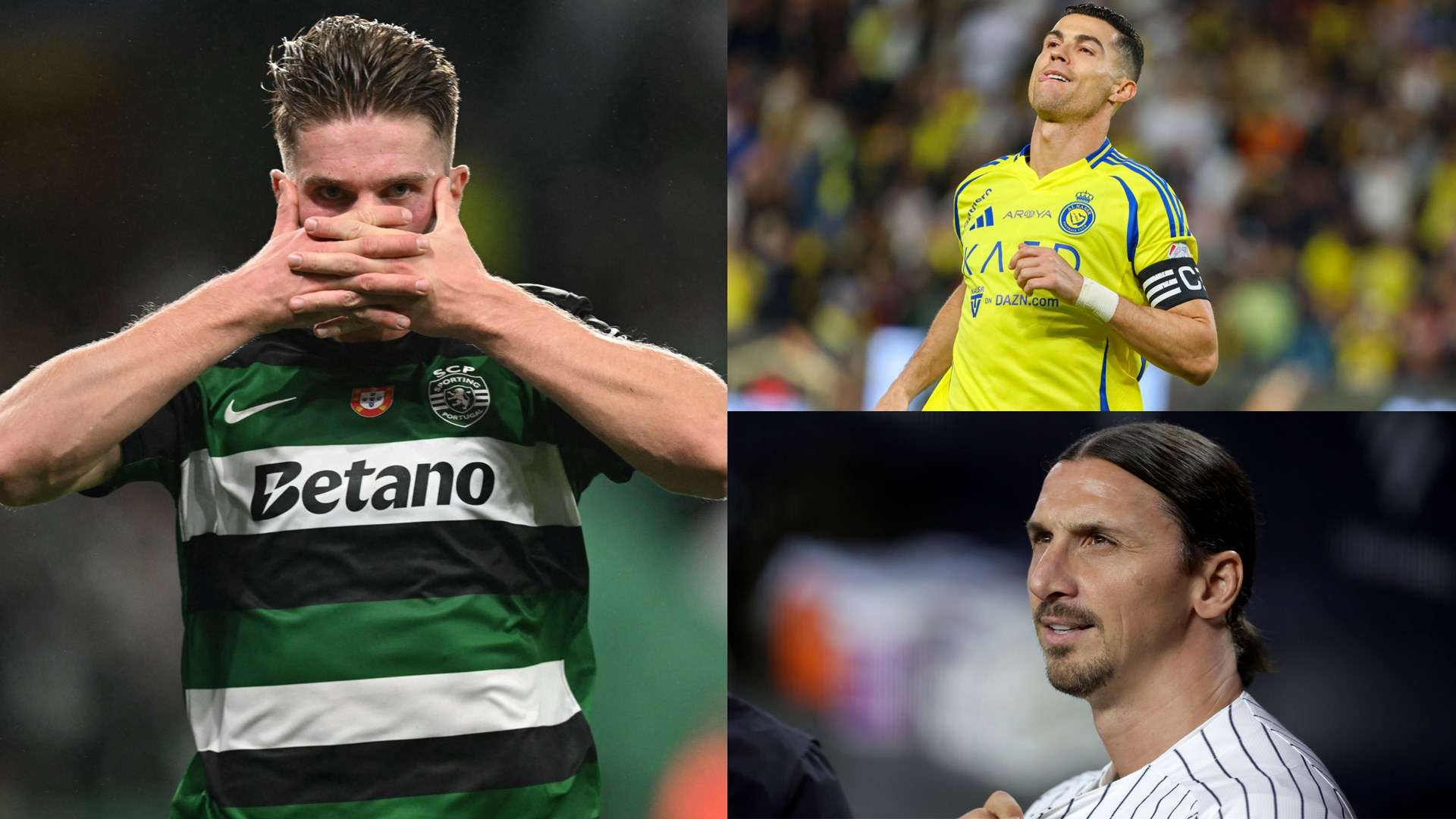 了足协对国 了足协对国