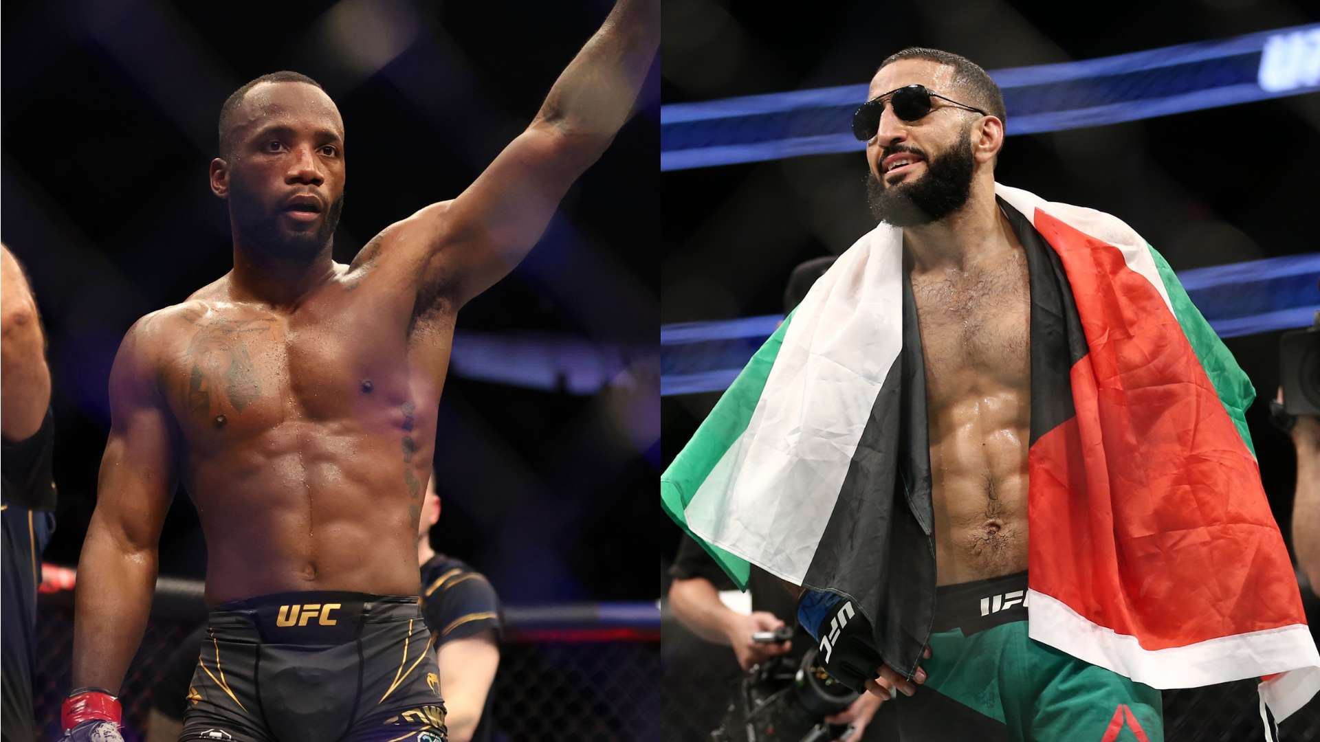 了新动力 了新动力